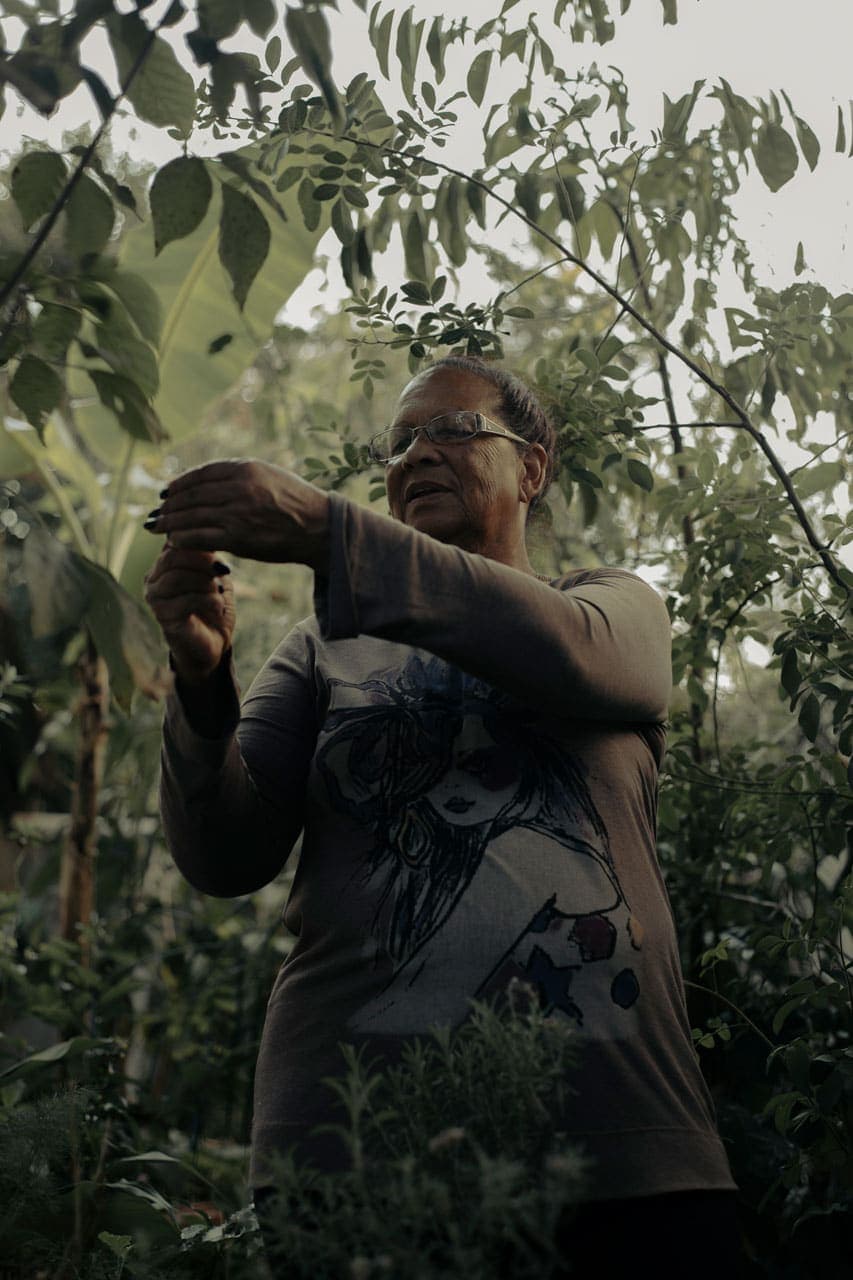 A foto mostra uma senhora de cabelos presos e óculos. Ela está com os braços em 90 graus observando as folhas de uma planta. Ela usa uma blusa cinza com estampa no meio e uma calça preta. Diversas árvores e plantas emolduram a senhora.