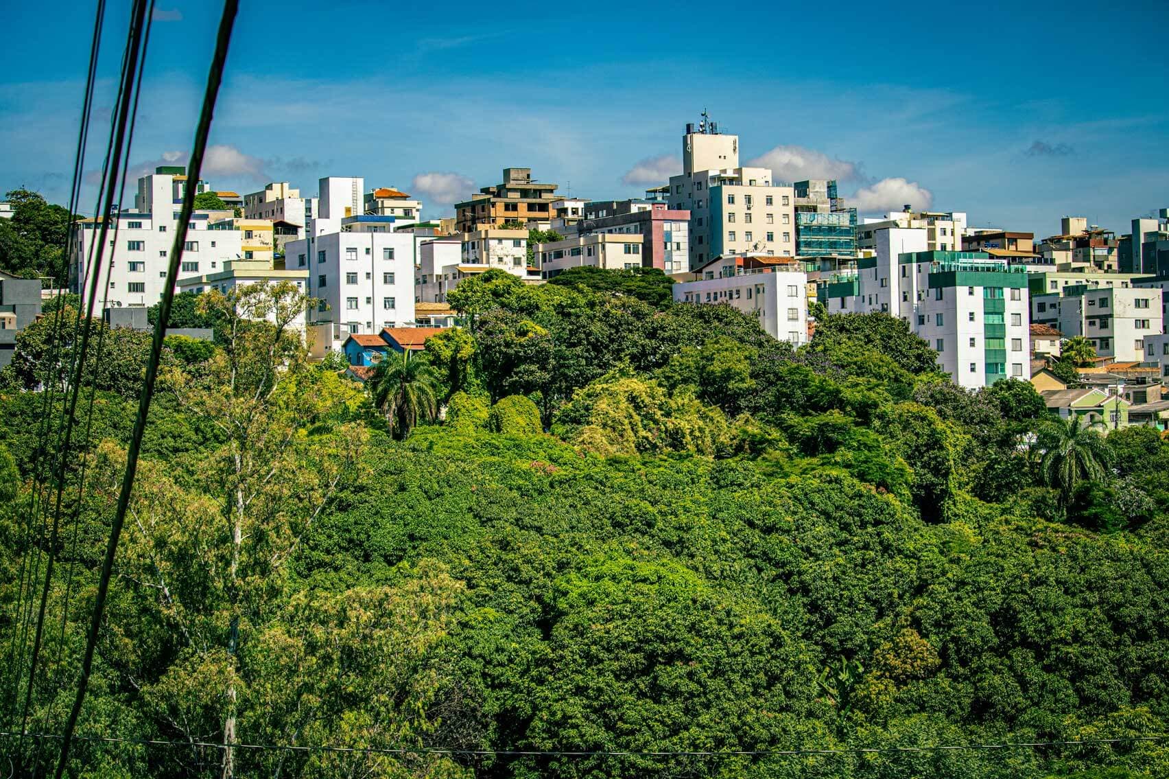 A foto traz uma grande área verde, com flores vermelhas à esquerda e prédios de diferentes tamanhos ao fundo.