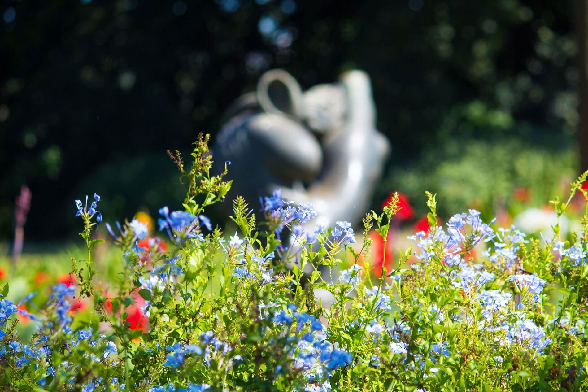 A imagem mostra uma escultura desfocada ao centro da foto. Ao redor dela, em foco, vemos um monte de flores roxas e vermelhas, além de folhas verdes.