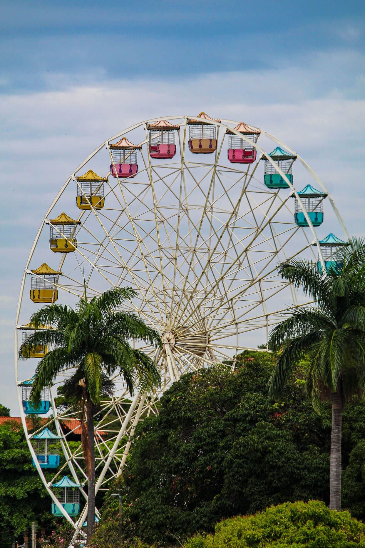 A imagem mostra uma roda gigante com cabines coloridas. É possível ver um céu azul. A roda gigante está rodeada de árvores, com destaque para dois coqueiros.