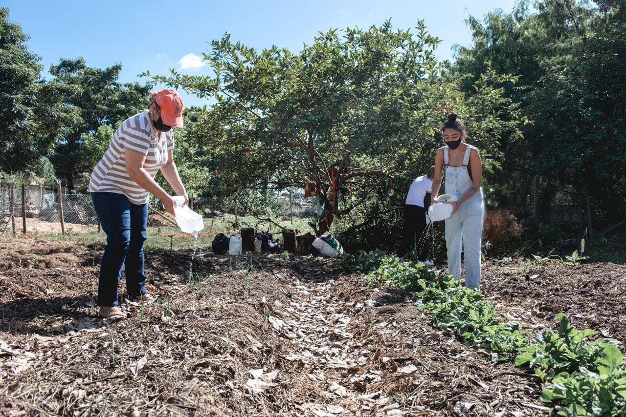 A imagem, em um primeiro plano, registra o momento em que duas mulheres utilizam água armazenada em recipientes de plástico para regar verduras. Ambas têm o rosto coberto por máscaras respiratórias de cor preta. Em um segundo plano, à sombra de alguns arbustos, é possível ver uma terceira mulher, de costas, ao lado de insumos utilizados na manutenção da horta.