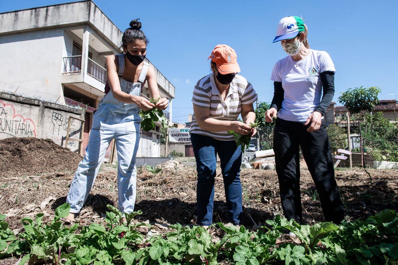 A imagem exibe, em um primeiro plano, três mulheres de pé diante de um canteiro de hortaliças. Duas delas utilizam bonés para se protegerem do sol a pino, e todas têm o rosto coberto por máscaras respiratórias. Sua atenção é voltada ao manuseio de maços de verduras recém-colhidas. Em um segundo plano, são retratadas edificações simples de um ou dois pavimentos. À esquerda, em um muro de concreto aparente, ao lado da pintura em spray de um punho em riste, é possível ler a frase “SALVE O CÓRREGO DO CAPÃO”